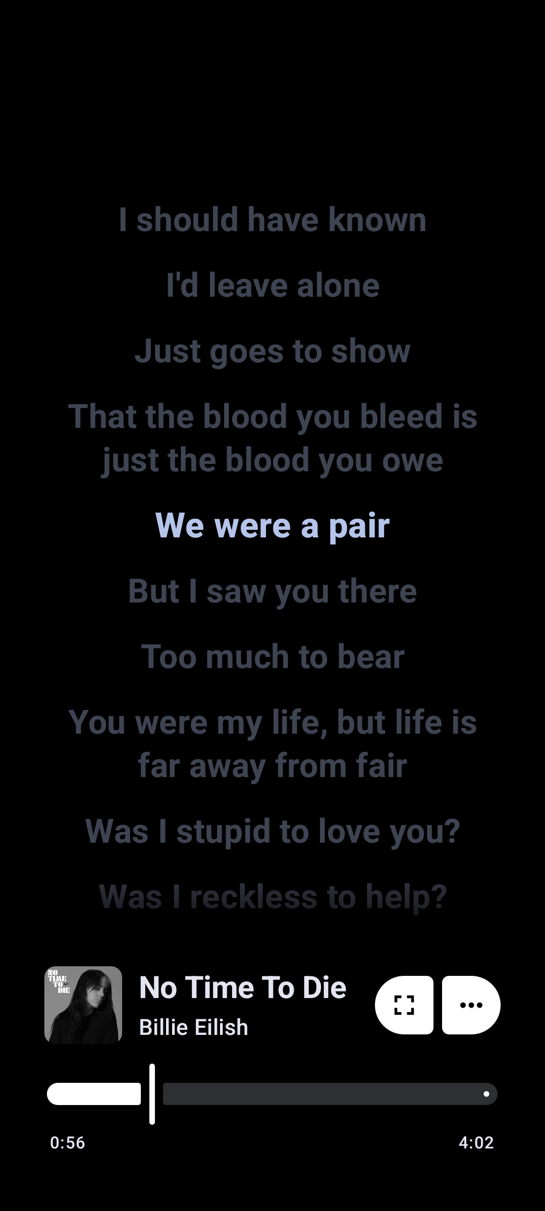 Metrolist APK - Live Synced Lyrics